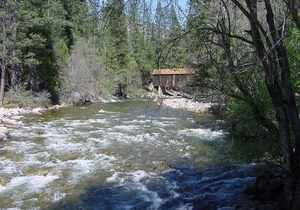 Comfortable and Spacious Vacation Home Near Golf and Redwoods, in Yosemite Park