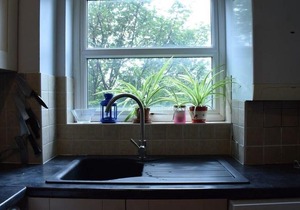 Cosy 1 Bed Flat In Homerton By Victoria Park