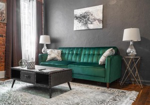 COZY AND STYLISH 1 BEDROOM APARTMENT (201)