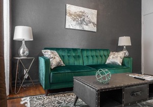 COZY AND STYLISH 1 BEDROOM APARTMENT (201)