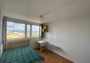 Double room in Bow, Amazing Olympic Park views!