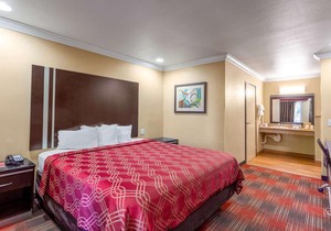 Econo Lodge Inn & Suites Escondido Downtown