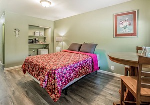 Efficient Studio Getaway w/ Free WiFi, Kitchenette, & Private Washer & Dryer!