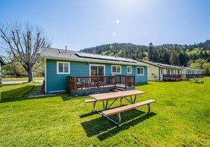 Elk Meadow 17 Gold Rush