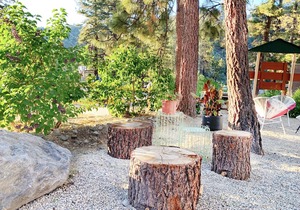 Grand Pine Cabins
