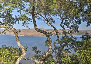 Hillside Home w/ Deck & Views of Tomales Bay!