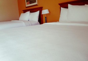 Hotel XOLA Trademark Collection by Wyndham