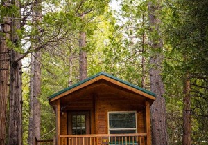 Idyllwild Camping Resort Cabin
