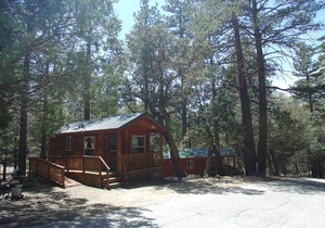 Idyllwild Camping Resort Wheelchair Accessible Cottage