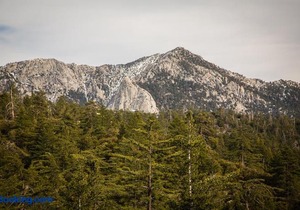 Idyllwild Camping Resort Wheelchair Accessible Cottage