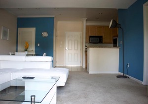Luxury Apartment Near The Grove