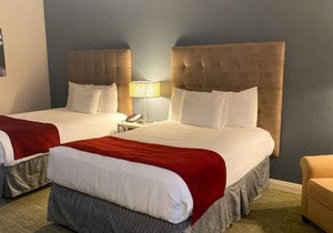 Minutes Away from Torrance Beach and Hermosa Beach! FREE On-site Parking!