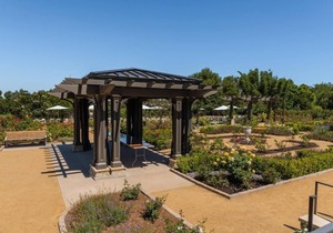 Minutes Away from Torrance Beach and Hermosa Beach! FREE On-site Parking!