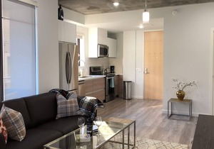 Modern Light Filled Apartment in Glendale