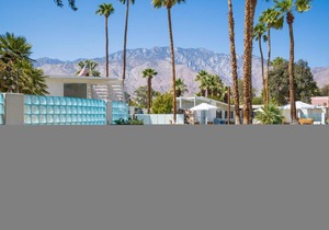Monkey Tree Hotel 15