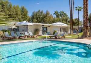 Monkey Tree Hotel 10