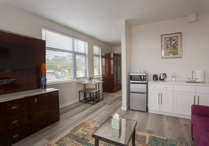 One Bedroom Apartment with Luxurious Furnitures