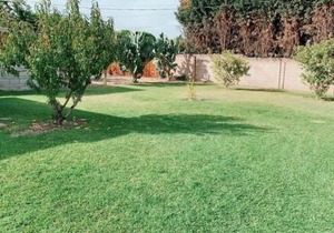 Pasadena single house 3b1b 三房一厅一厨一浴