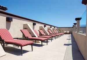 Peacock Suites Spacious 3 Bedroom