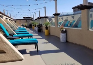 Peacock Suites