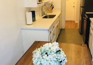 Private patio w/work space entire 2bd/2ba in West LA, SMC,UCLA Santa Monica adj