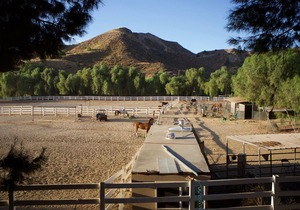 Red Rock Riding Ranch House #2