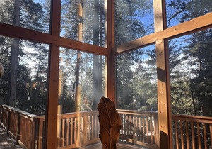 Relaxing Mountain Retreat with lots of decks and EV charging +AC