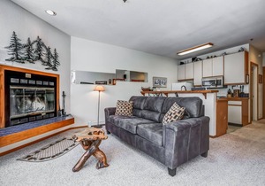 Rose's Kirkwood Hideout upgraded 1 bdrm 202