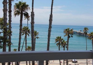 Sea Horse Resort
