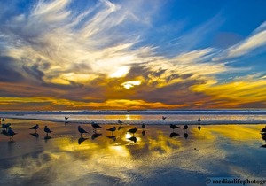 Seascape Oceanfront Condo! Spectacular View! Prior VRBO #402873