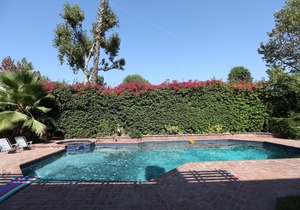 Spacious 4b3.5b House w/Swimming Pool in Pasadena