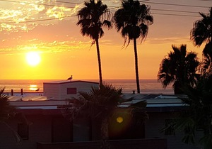 SURFRIDER PENTHOUSE - Studio - Amazing Ocean views , Windansea Beach, La Jolla