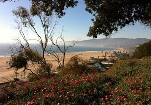 The Garden Hide-Away | 5 Star Santa Monica FANTASTIC