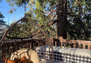 The Treehouse@Cedar Terr- family+pet friendly