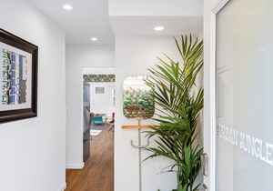 Urban Jungle Oasis in Center of Hollywood