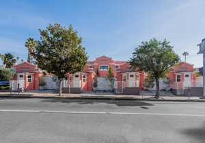 Urban Jungle Oasis in Center of Hollywood