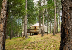 Yosemite Lakes Hillside Yurt 1