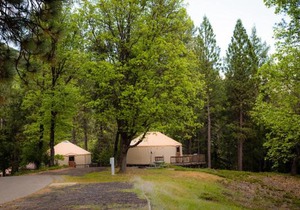 Yosemite Lakes Hillside Yurt 14