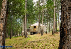 Yosemite Lakes Hillside Yurt 14