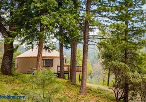 Yosemite Lakes Hillside Yurt 14