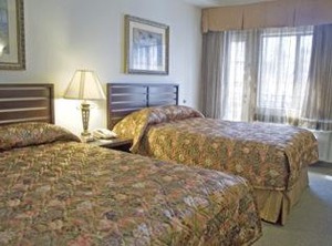 Hotel At The Convention | East Village