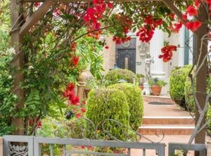 Santa Monica Rentals | North of Montana