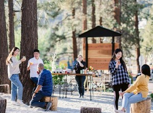 Grand Pine | Wrightwood