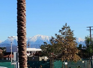 The Emerson Grand Ave Los Angeles | El Monte