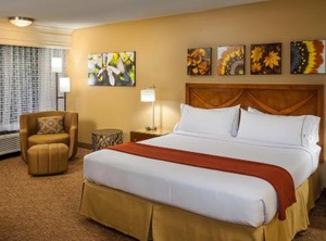 Holiday Inn Express Simi Valley Ihg Hotel | Simi Valley
