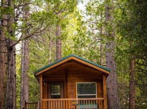Idyllwild Camping Resort | Pine Cove