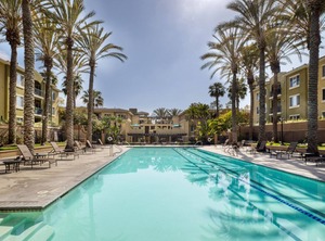Playa Del Rey | Playa Del Rey