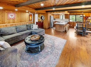 Escape All Seasons Bear | Summit Estates