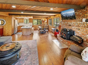 Escape All Seasons Bear | Summit Estates