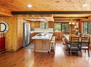 Escape All Seasons Bear | Summit Estates